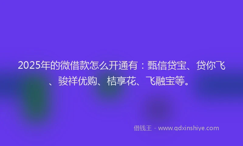 2025年的微借款怎么开通有：甄信贷宝、贷你飞、骏祥优购、桔享花、飞融宝等。