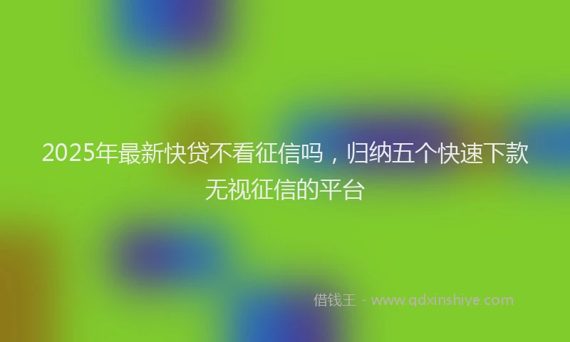 2025年最新快贷不看征信吗，归纳五个快速下款无视征信的平台