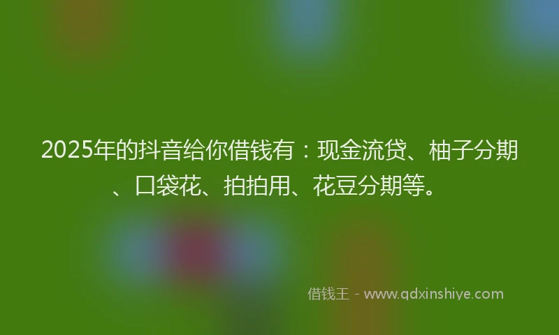2025年的抖音给你借钱有：现金流贷、柚子分期、口袋花、拍拍用、花豆分期等。