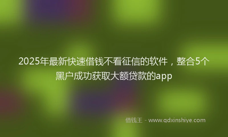 2025年最新快速借钱不看征信的软件，整合5个黑户成功获取大额贷款的app
