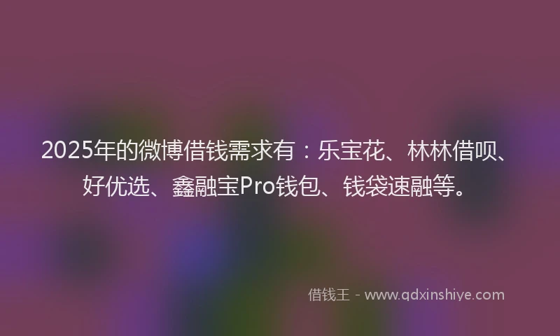 2025年的微博借钱需求有：乐宝花、林林借呗、好优选、鑫融宝Pro钱包、钱袋速融等。