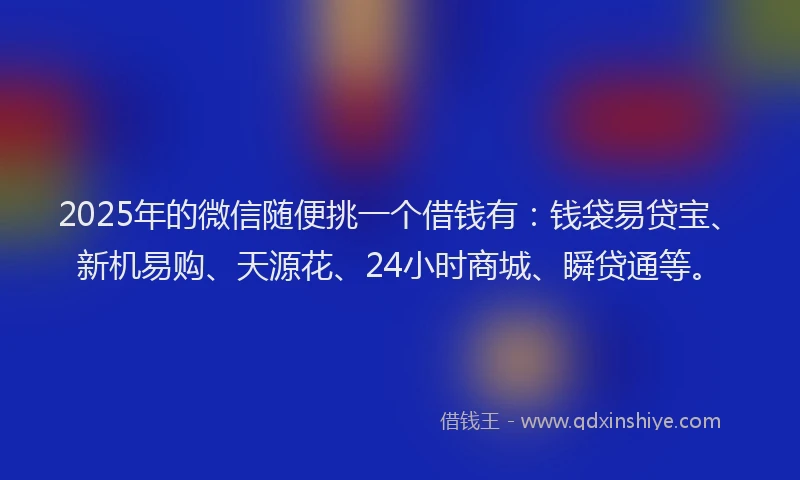 2025年的微信随便挑一个借钱有：钱袋易贷宝、新机易购、天源花、24小时商城、瞬贷通等。