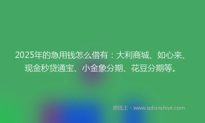 2025年的急用钱怎么借有：大利商城、如心来、现金秒贷通宝、小金象分期、花豆分期等。