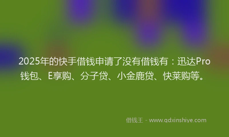 2025年的快手借钱申请了没有借钱有：迅达Pro钱包、E享购、分子贷、小金鹿贷、快莱购等。