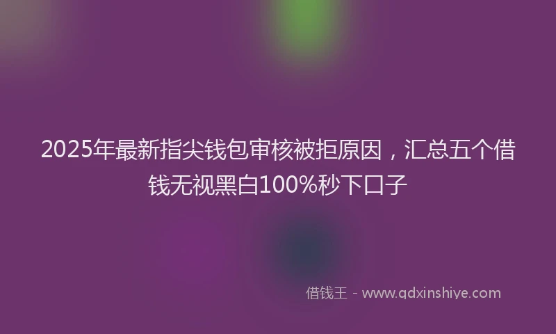 2025年最新指尖钱包审核被拒原因，汇总五个借钱无视黑白100%秒下口子