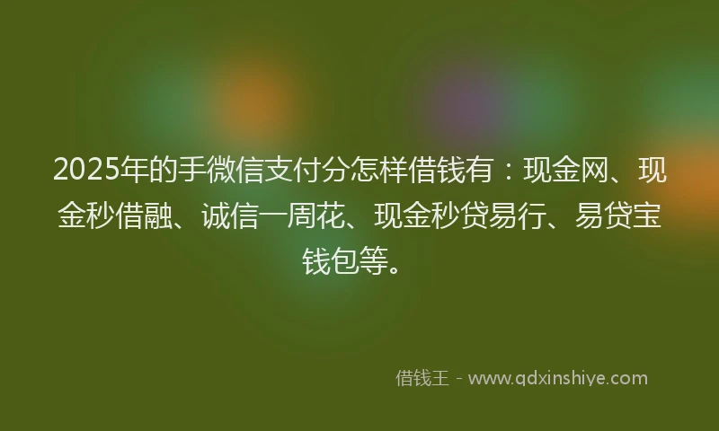 2025年的手微信支付分怎样借钱有：现金网、现金秒借融、诚信一周花、现金秒贷易行、易贷宝钱包等。