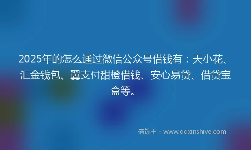 2025年的怎么通过微信公众号借钱有：天小花、汇金钱包、翼支付甜橙借钱、安心易贷、借贷宝盒等。