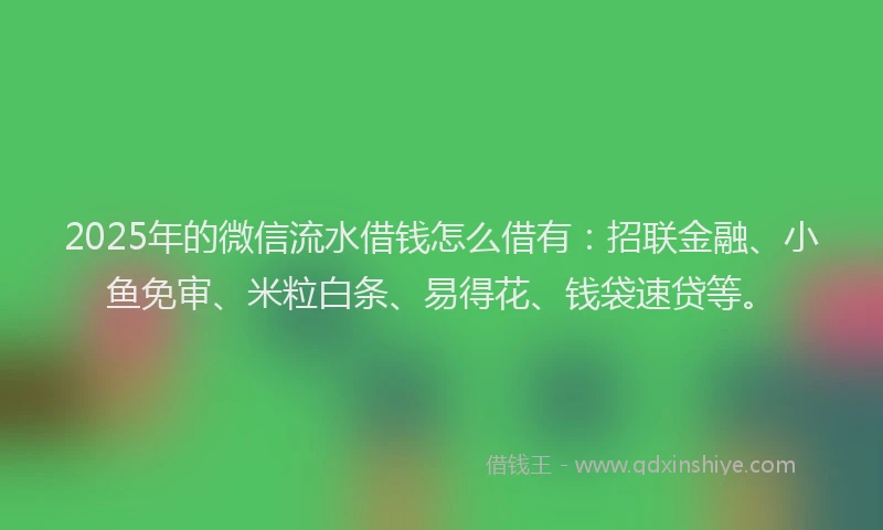 2025年的微信流水借钱怎么借有：招联金融、小鱼免审、米粒白条、易得花、钱袋速贷等。
