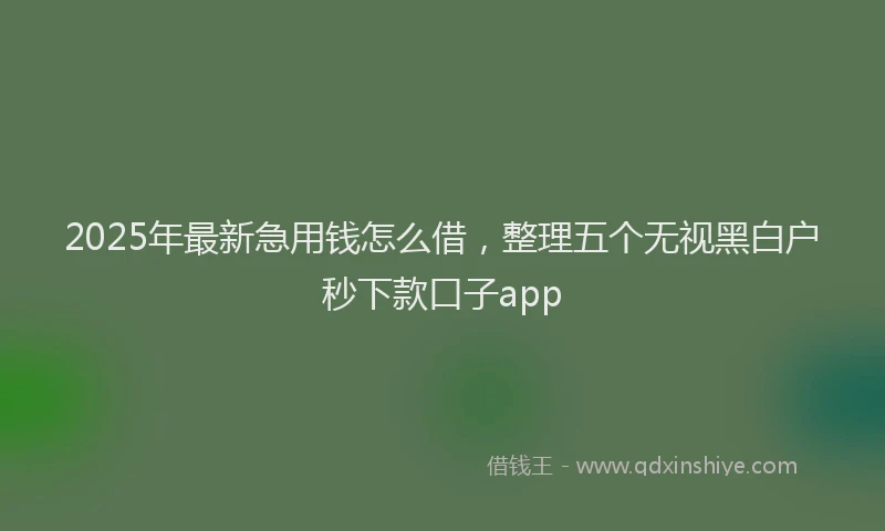 2025年最新急用钱怎么借，整理五个无视黑白户秒下款口子app