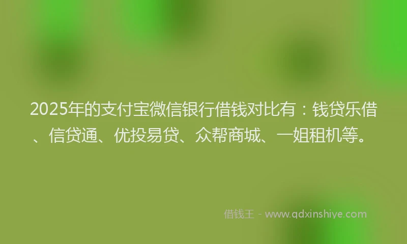 2025年的支付宝微信银行借钱对比有：钱贷乐借、信贷通、优投易贷、众帮商城、一姐租机等。