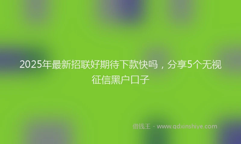 2025年最新招联好期待下款快吗，分享5个无视征信黑户口子