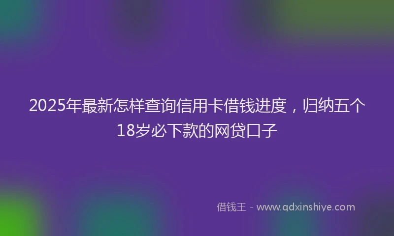 2025年最新怎样查询信用卡借钱进度，归纳五个18岁必下款的网贷口子
