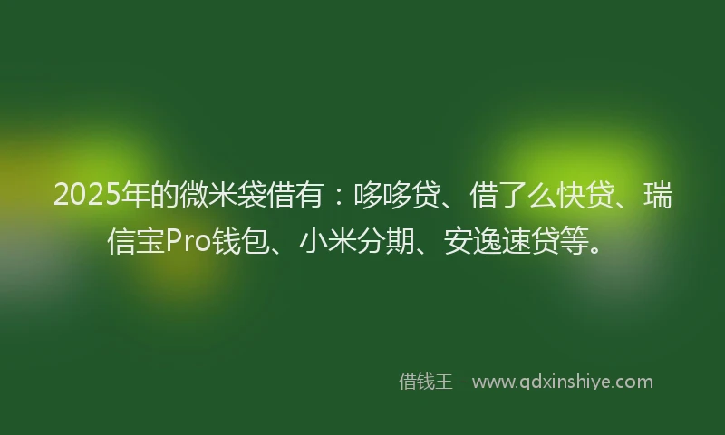 2025年的微米袋借有：哆哆贷、借了么快贷、瑞信宝Pro钱包、小米分期、安逸速贷等。