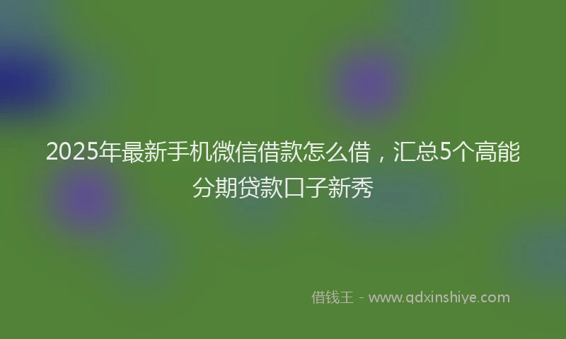 2025年最新手机微信借款怎么借，汇总5个高能分期贷款口子新秀