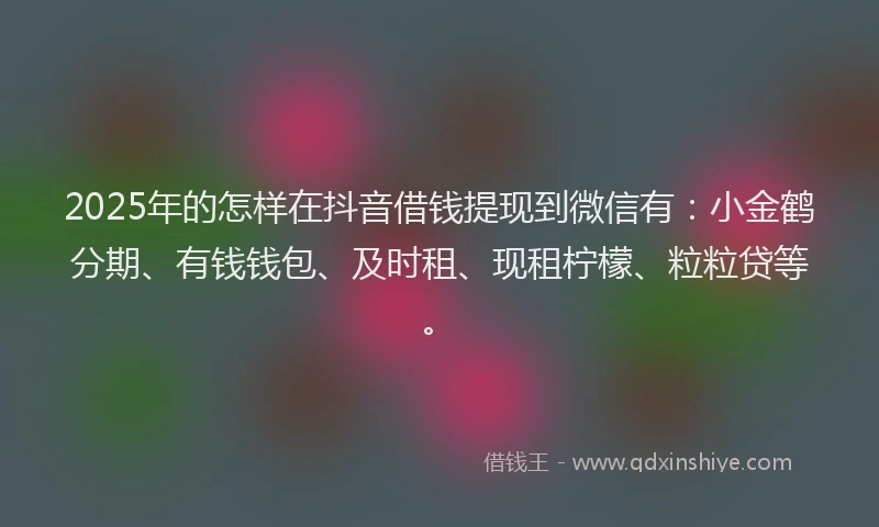 2025年的怎样在抖音借钱提现到微信有：小金鹤分期、有钱钱包、及时租、现租柠檬、粒粒贷等。