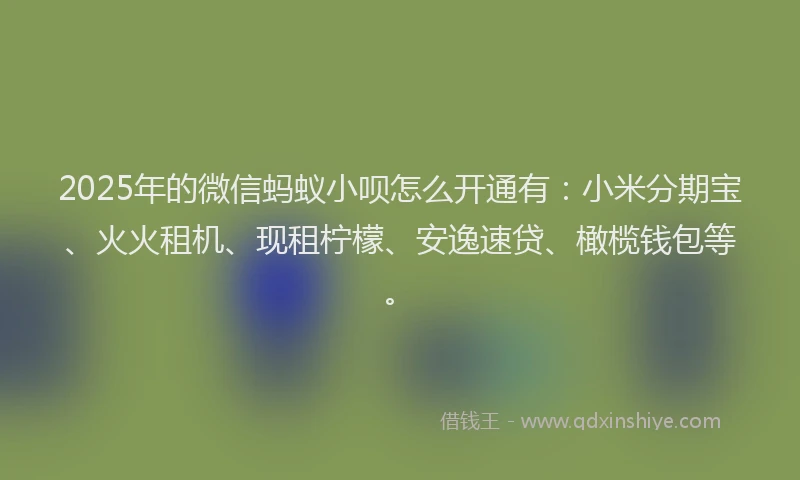 2025年的微信蚂蚁小呗怎么开通有：小米分期宝、火火租机、现租柠檬、安逸速贷、橄榄钱包等。