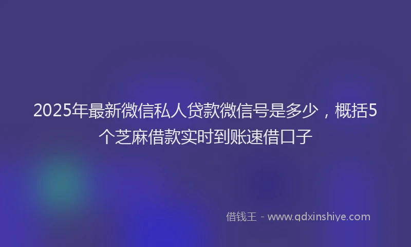 2025年最新微信私人贷款微信号是多少，概括5个芝麻借款实时到账速借口子