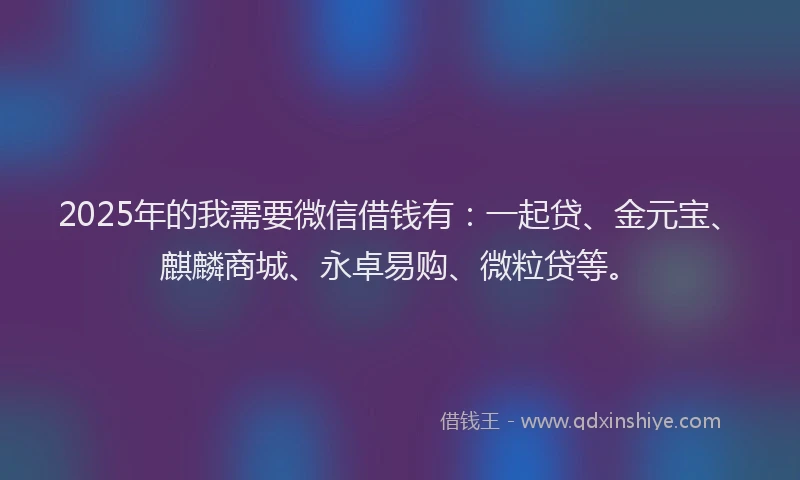 2025年的我需要微信借钱有：一起贷、金元宝、麒麟商城、永卓易购、微粒贷等。
