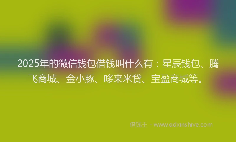 2025年的微信钱包借钱叫什么有：星辰钱包、腾飞商城、金小豚、哆来米贷、宝盈商城等。