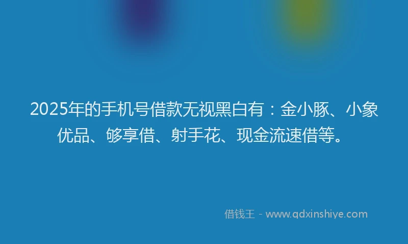 2025年的手机号借款无视黑白有：金小豚、小象优品、够享借、射手花、现金流速借等。