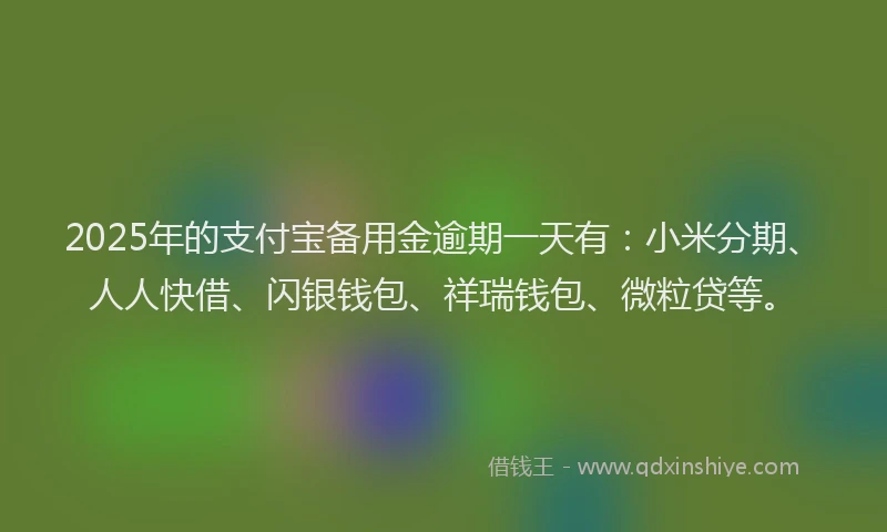 2025年的支付宝备用金逾期一天有：小米分期、人人快借、闪银钱包、祥瑞钱包、微粒贷等。