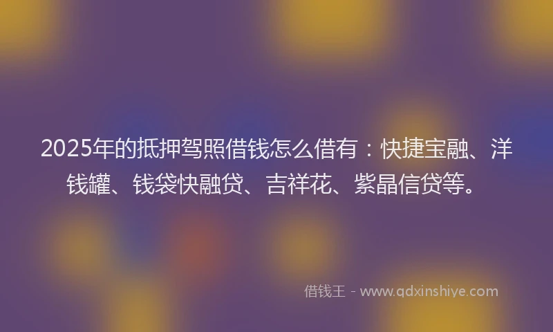 2025年的抵押驾照借钱怎么借有：快捷宝融、洋钱罐、钱袋快融贷、吉祥花、紫晶信贷等。