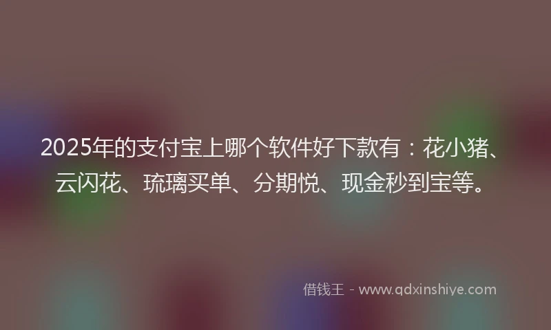 2025年的支付宝上哪个软件好下款有：花小猪、云闪花、琉璃买单、分期悦、现金秒到宝等。