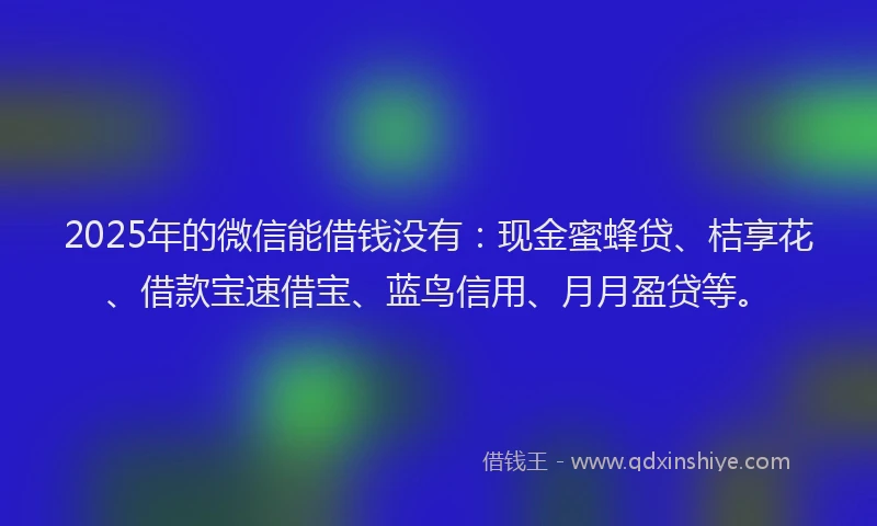 2025年的微信能借钱没有：现金蜜蜂贷、桔享花、借款宝速借宝、蓝鸟信用、月月盈贷等。