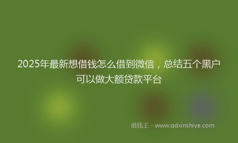 2025年最新想借钱怎么借到微信，总结五个黑户可以做大额贷款平台