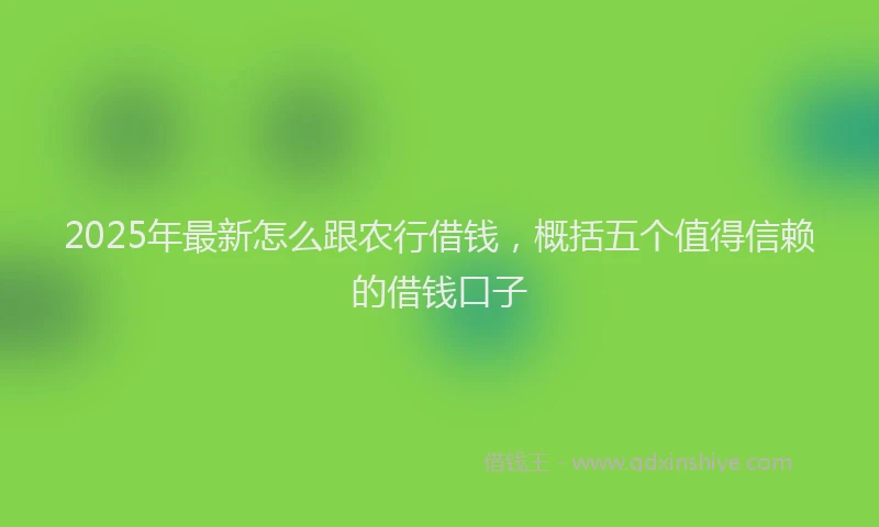 2025年最新怎么跟农行借钱，概括五个值得信赖的借钱口子