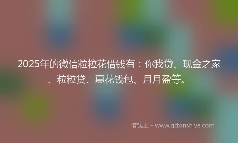 2025年的微信粒粒花借钱有：你我贷、现金之家、粒粒贷、惠花钱包、月月盈等。