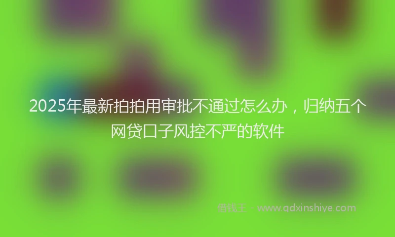 2025年最新拍拍用审批不通过怎么办，归纳五个网贷口子风控不严的软件
