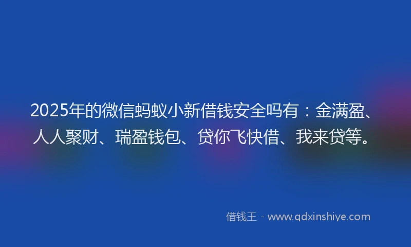 2025年的微信蚂蚁小新借钱安全吗有：金满盈、人人聚财、瑞盈钱包、贷你飞快借、我来贷等。