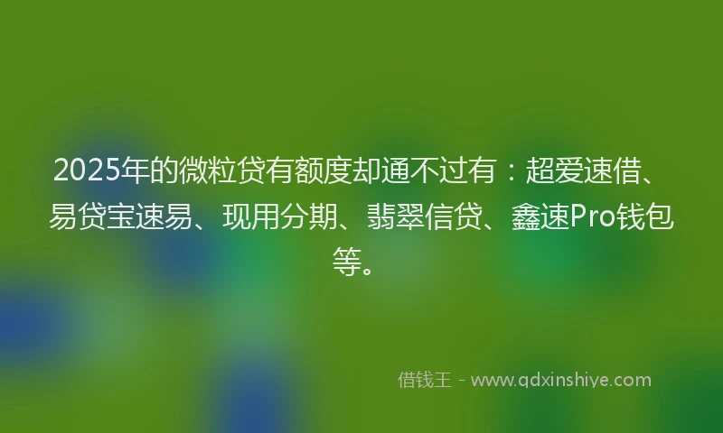 2025年的微粒贷有额度却通不过有：超爱速借、易贷宝速易、现用分期、翡翠信贷、鑫速Pro钱包等。