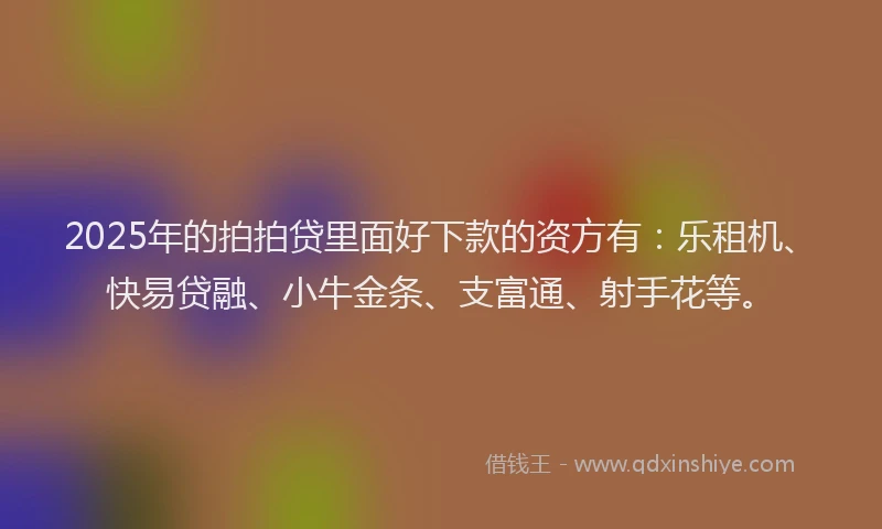 2025年的拍拍贷里面好下款的资方有：乐租机、快易贷融、小牛金条、支富通、射手花等。
