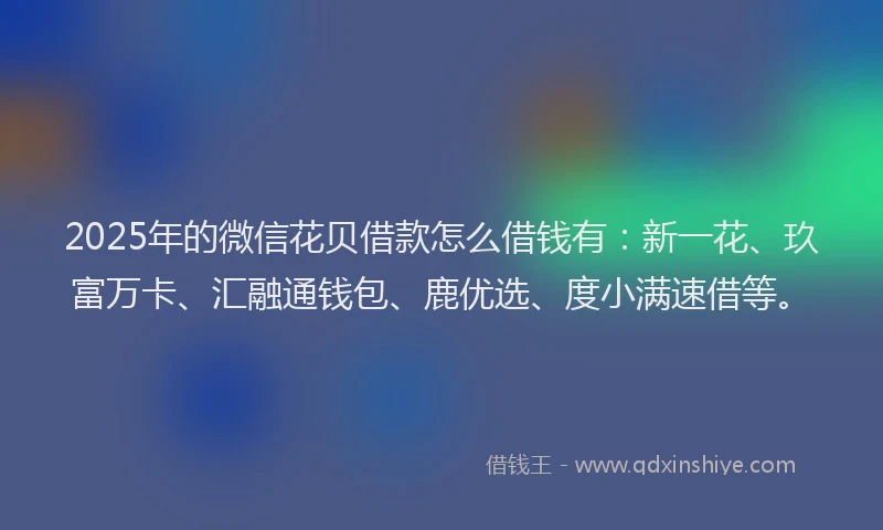 2025年的微信花贝借款怎么借钱有：新一花、玖富万卡、汇融通钱包、鹿优选、度小满速借等。