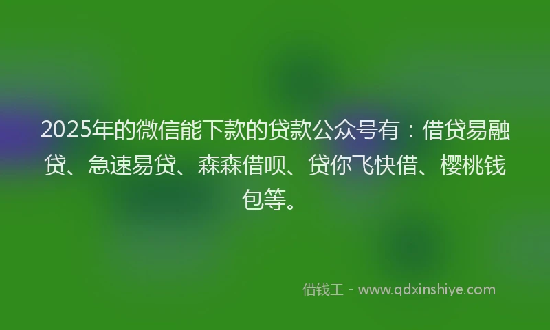 2025年的微信能下款的贷款公众号有：借贷易融贷、急速易贷、森森借呗、贷你飞快借、樱桃钱包等。