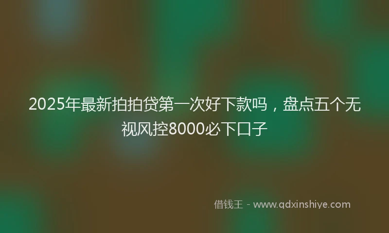 2025年最新拍拍贷第一次好下款吗，盘点五个无视风控8000必下口子