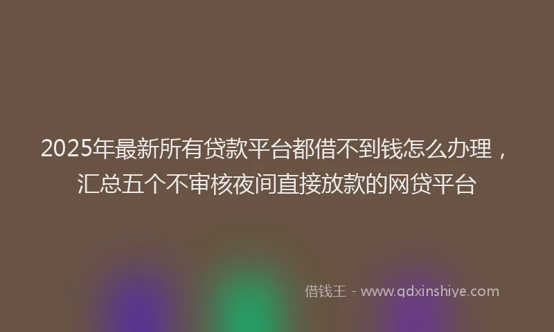 2025年最新所有贷款平台都借不到钱怎么办理，汇总五个不审核夜间直接放款的网贷平台