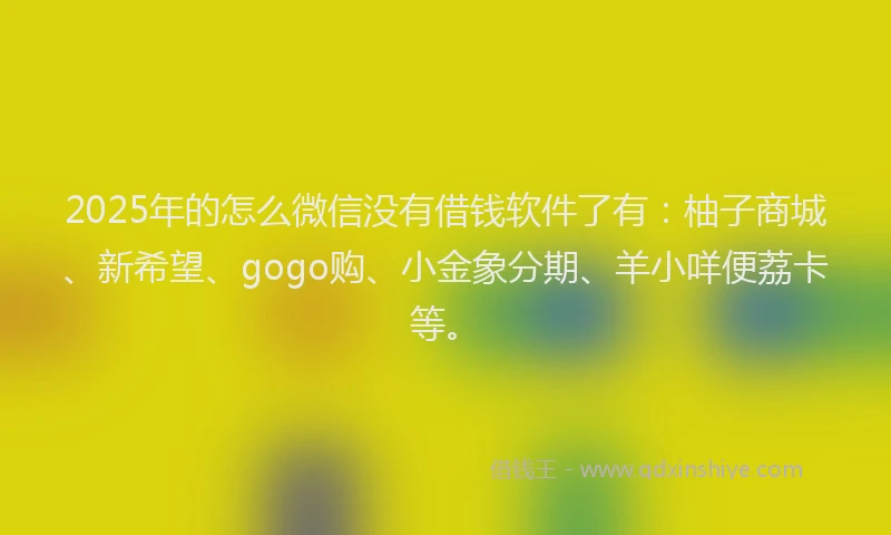 2025年的怎么微信没有借钱软件了有：柚子商城、新希望、gogo购、小金象分期、羊小咩便荔卡等。