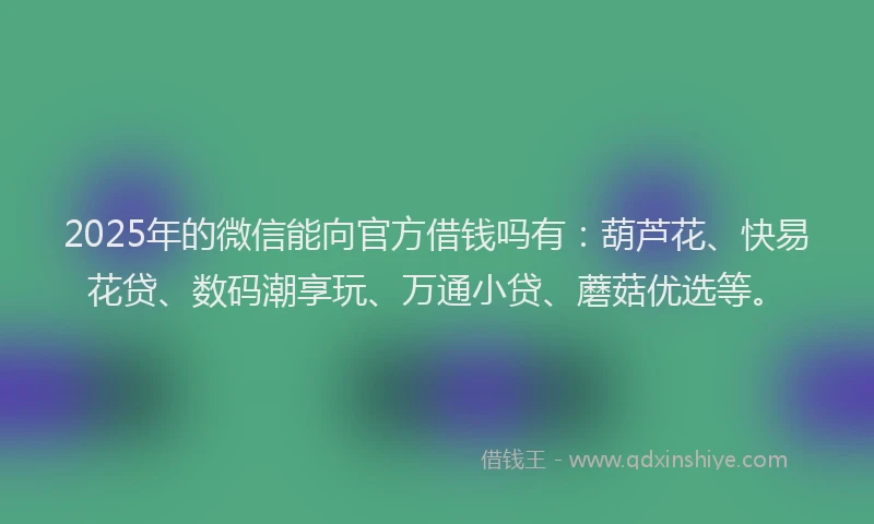 2025年的微信能向官方借钱吗有：葫芦花、快易花贷、数码潮享玩、万通小贷、蘑菇优选等。