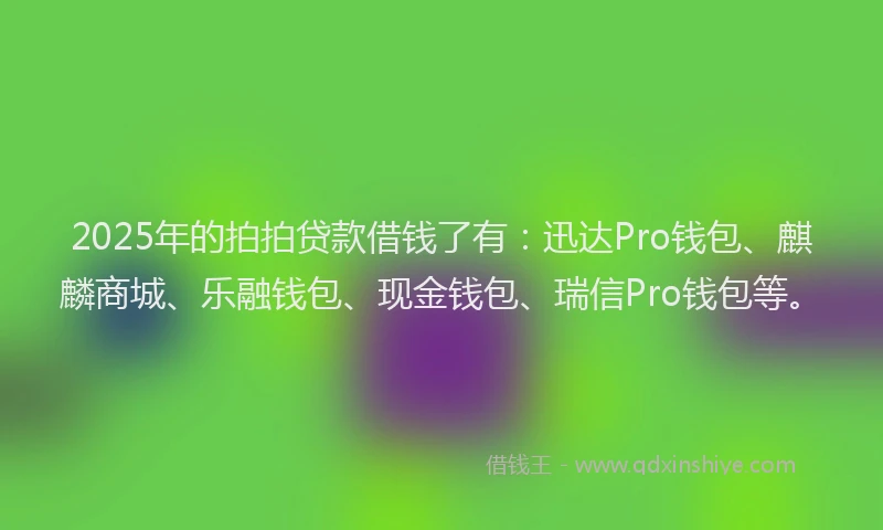 2025年的拍拍贷款借钱了有：迅达Pro钱包、麒麟商城、乐融钱包、现金钱包、瑞信Pro钱包等。