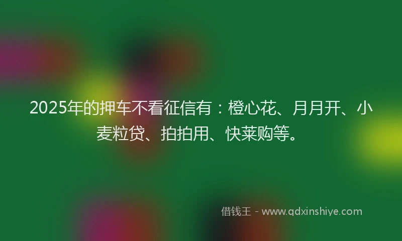 2025年的押车不看征信有：橙心花、月月开、小麦粒贷、拍拍用、快莱购等。