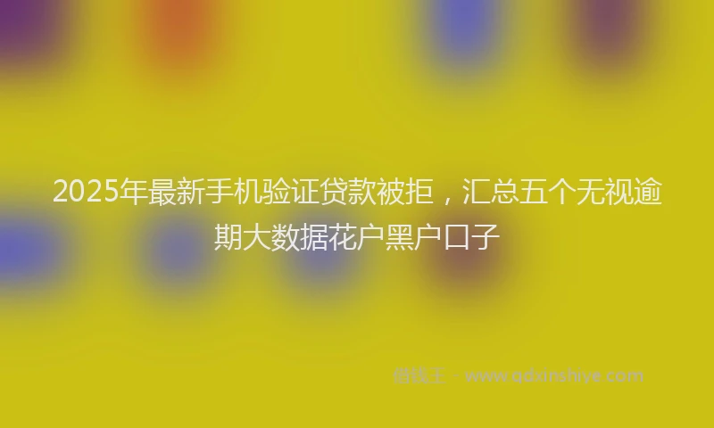 2025年最新手机验证贷款被拒，汇总五个无视逾期大数据花户黑户口子