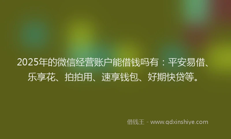 2025年的微信经营账户能借钱吗有：平安易借、乐享花、拍拍用、速享钱包、好期快贷等。