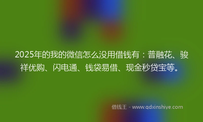 2025年的我的微信怎么没用借钱有：普融花、骏祥优购、闪电通、钱袋易借、现金秒贷宝等。