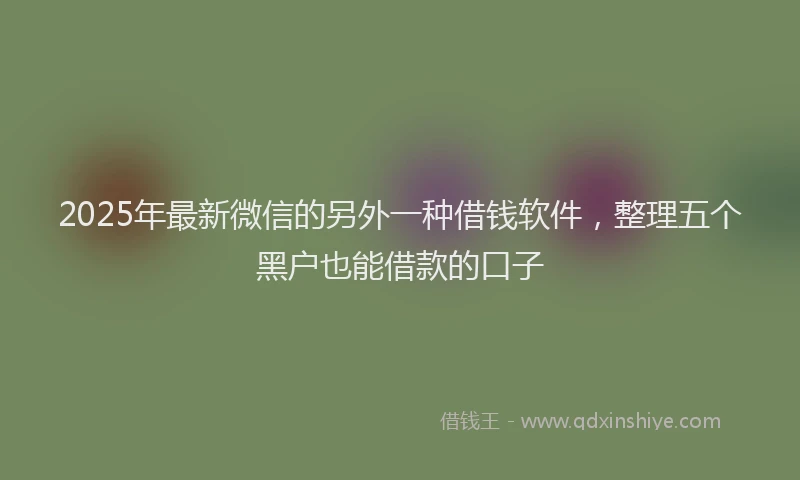 2025年最新微信的另外一种借钱软件，整理五个黑户也能借款的口子