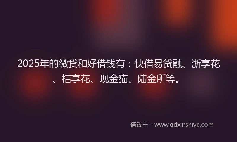 2025年的微贷和好借钱有：快借易贷融、浙享花、桔享花、现金猫、陆金所等。