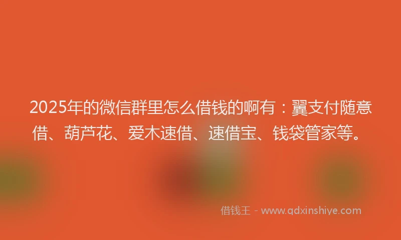 2025年的微信群里怎么借钱的啊有：翼支付随意借、葫芦花、爱木速借、速借宝、钱袋管家等。