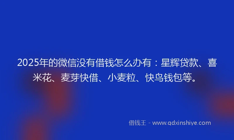 2025年的微信没有借钱怎么办有：星辉贷款、喜米花、麦芽快借、小麦粒、快鸟钱包等。